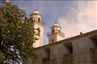 6 Colonia